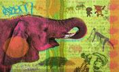 Ann Gadd